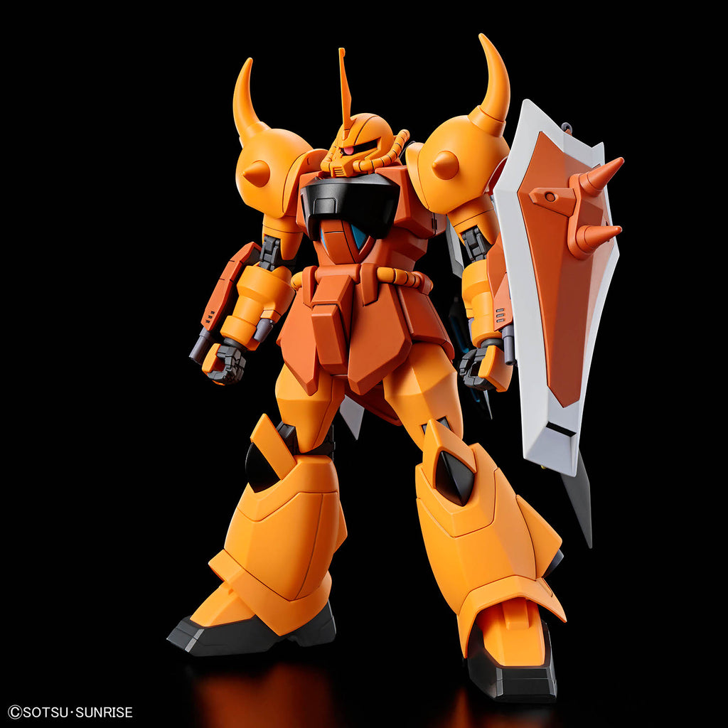 GOUF IGNITED (HEINE WESTENFLUSS CUSTOM) "SEED DESTINY", BANDAI, HG